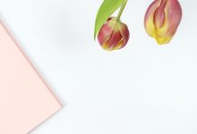 显示当前所有已注册的侧边栏和小工具名称-WORDPRESS大侠