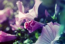 世界,您好!-WORDPRESS大侠