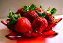 WordPress后台用户列表显示注册数量和注册时间排序教程-WORDPRESS大侠