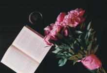 WordPress 常用函数 wpautop() 自动添加P标签-WORDPRESS大侠
