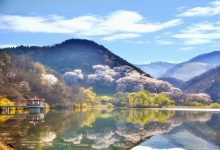 如何给WordPress导航菜单添加小图标图像-WORDPRESS大侠