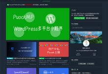 高颜值黑白两种模式的WordPress免费CMS主题Puock-WORDPRESS大侠