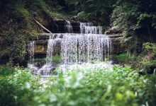WordPress 随机显示本地头像加速访问-WORDPRESS大侠