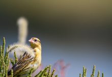 代码实现验证WordPress用户注册邮箱真实性-WORDPRESS大侠
