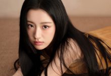 为WordPress添加“点击展开/收缩”短代码 功能-WORDPRESS大侠