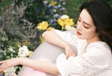 用代码获取WordPress当前所有分类法-WORDPRESS大侠