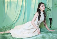 WordPress 自定义格式输出文章标签-WORDPRESS大侠