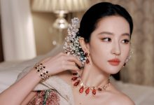 WordPress用户注册增加验证码禁止机器注册-WORDPRESS大侠