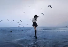 代码实现WordPress根据用户权限不同隐藏内容-WORDPRESS大侠