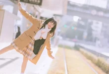 WordPress加密某个分类的所有文章-WORDPRESS大侠