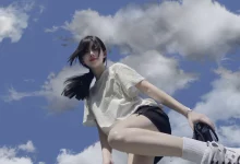 WordPress 获取文章类型注册的分类法名称函数-WORDPRESS大侠