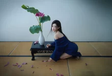 WordPress文章内容仅限会员或者登录用户浏览-WORDPRESS大侠