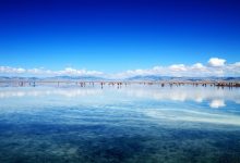 Comments_template()函数如何获取不同评论模板-WORDPRESS大侠