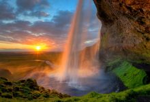 给WordPress主题分类\标签页面增加点赞功能-WORDPRESS大侠