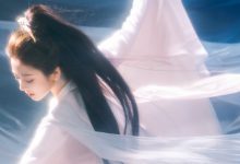 WordPress网站不显示某个分类文章-WORDPRESS大侠