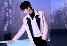 WordPress 调用自定义分类法的文章的方法-WORDPRESS大侠