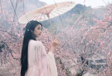 WordPress隐藏后台默认菜单及插件生成的菜单-WORDPRESS大侠