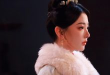 WordPress通过Cookie记录用户的搜索历史-WORDPRESS大侠