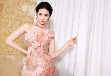 WordPress 前台评论添加“删除”和“标识为垃圾”链接-WORDPRESS大侠