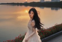 wordpress代码实现内容回复可见功能-WORDPRESS大侠