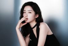 给WordPress主题分类\标签页面增加点赞功能-WORDPRESS大侠