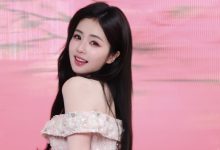 在wordpress分类文章列表置顶文章排除-WORDPRESS大侠