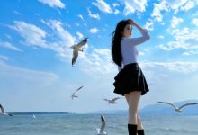 在wordpress程序里调用当前作者的评论数量-WORDPRESS大侠