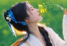 隐藏wordpress后台登陆的入口wp-login.php位置-WORDPRESS大侠