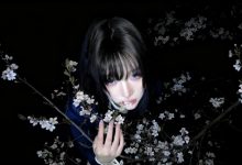 获取wordpress作者的文章数量及评论数量函数-WORDPRESS大侠