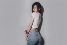 如何为wordpress主题新添加一组自定义分类-WORDPRESS大侠