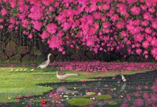 wordpress通过指定ID调用连续的文章内容-WORDPRESS大侠