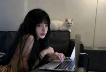 wordpress新站点如何设置网站蜘蛛爬虫禁止收录站点-WORDPRESS大侠