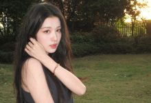 教你怎样给wordpress主题添加专题文章功能-WORDPRESS大侠