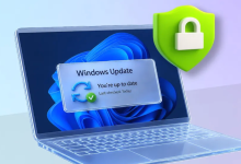 微软警告:AI 加快漏洞挖掘速度,不建议 Windows 安全更新延迟超过三天-WORDPRESS大侠